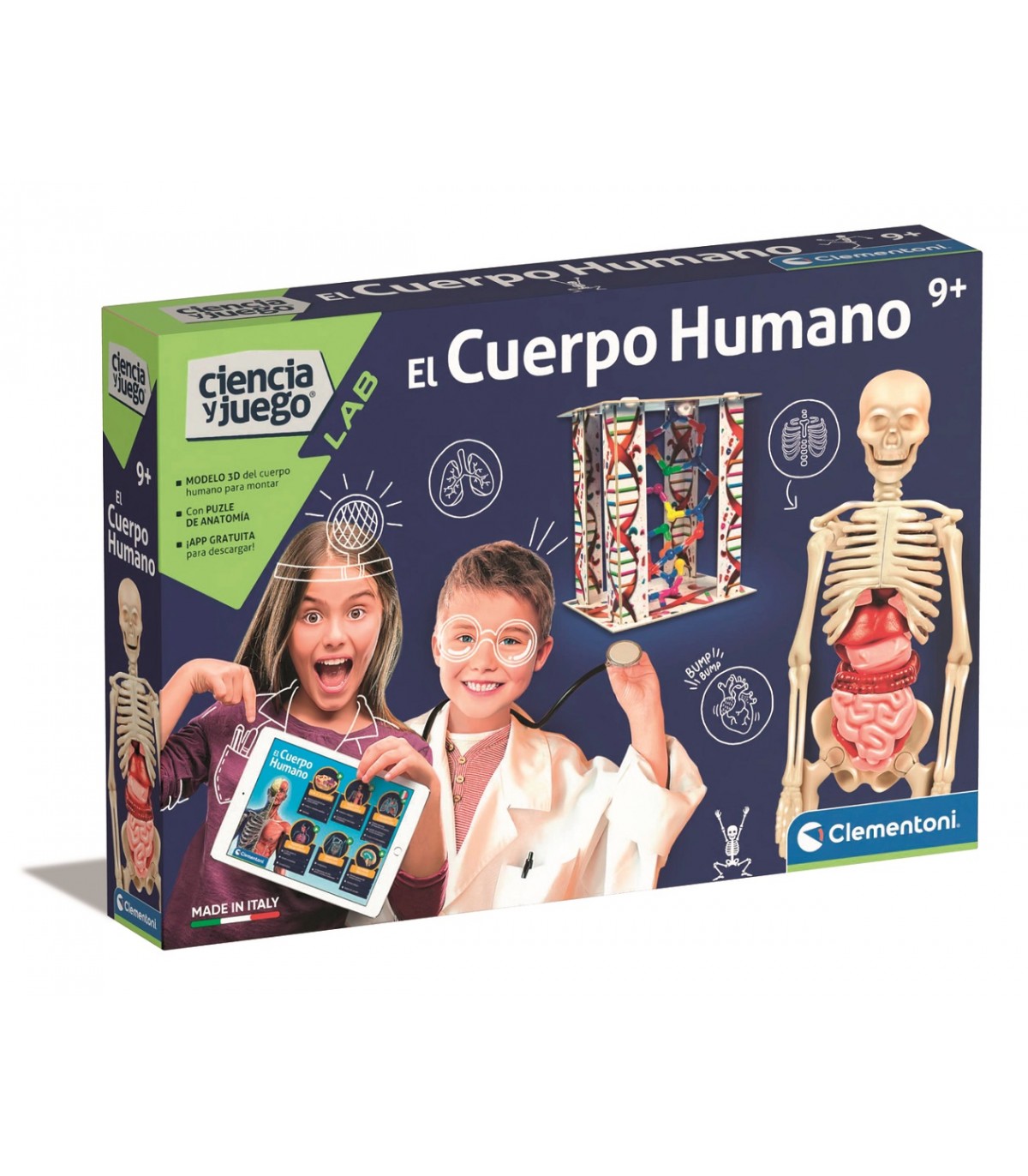 el-cuerpo-humano-