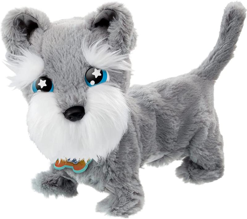 PERRITO-TILLY-EL-TERRRIER..jpg